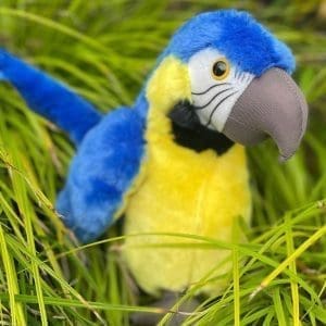 Large Blue and Gold Macaw Plushy (AP)