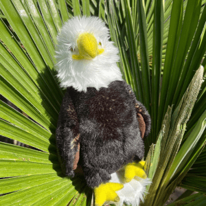 Large Eagle Plushy